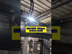 GW1450B -250 гм нижний лист